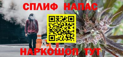 МДПВ Донецк