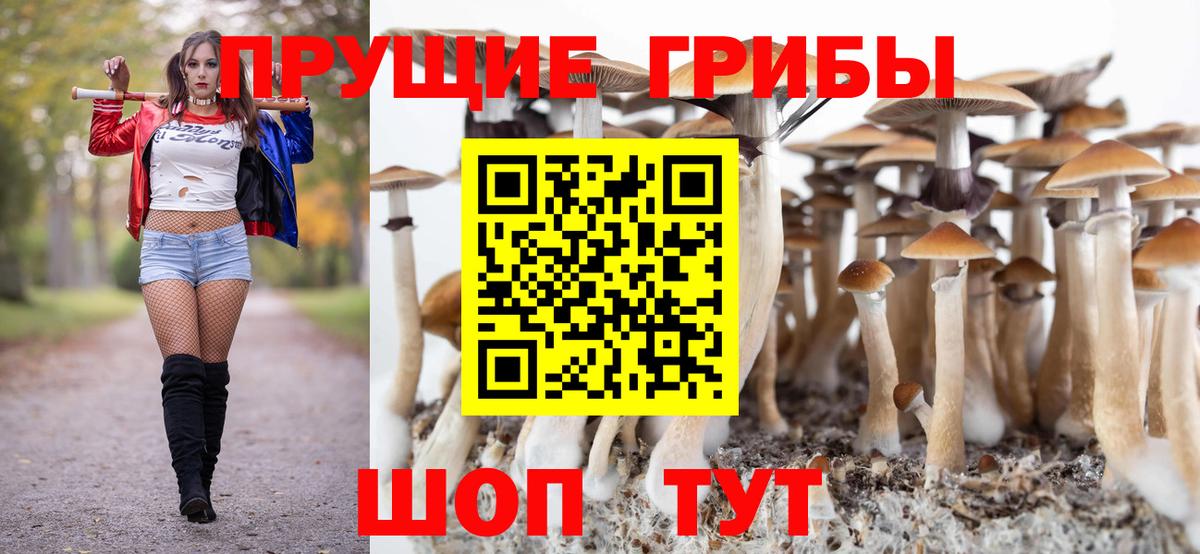 Псилоцибиновые грибы мухоморы  Ноябрьск 